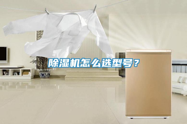 除濕機怎么選型號？