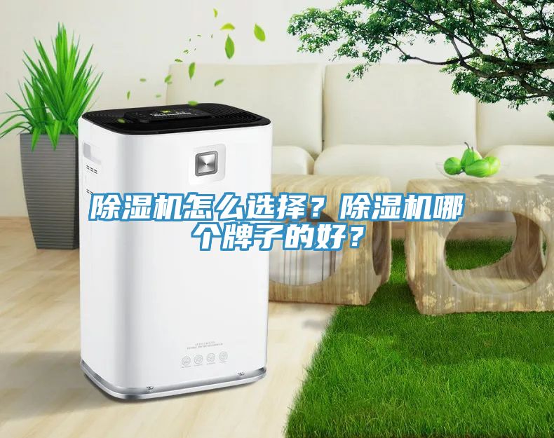 除濕機怎么選擇？除濕機哪個牌子的好？