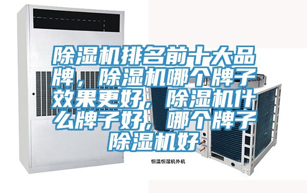 除濕機(jī)排名前十大品牌，除濕機(jī)哪個牌子效果更好，除濕機(jī)什么牌子好，哪個牌子除濕機(jī)好