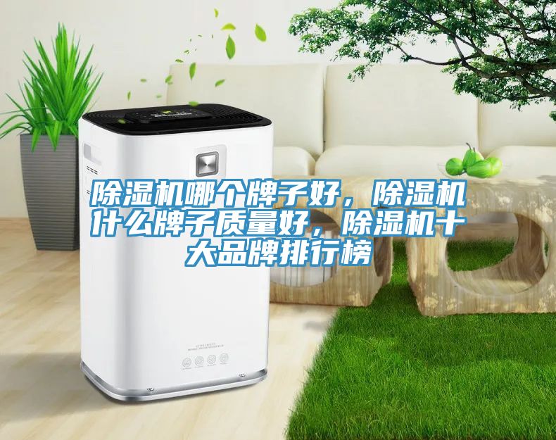 除濕機哪個牌子好，除濕機什么牌子質(zhì)量好，除濕機十大品牌排行榜