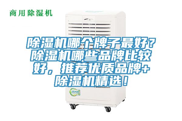 除濕機(jī)哪個牌子最好？除濕機(jī)哪些品牌比較好，推薦優(yōu)質(zhì)品牌+除濕機(jī)精選！