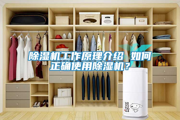 除濕機(jī)工作原理介紹 如何正確使用除濕機(jī)？