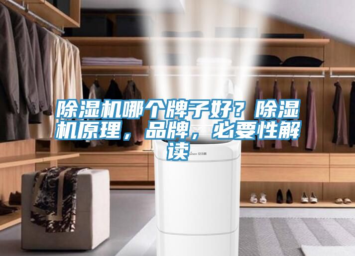 除濕機哪個牌子好？除濕機原理，品牌，必要性解讀