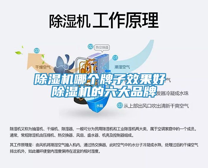 除濕機(jī)哪個牌子效果好 除濕機(jī)的六大品牌