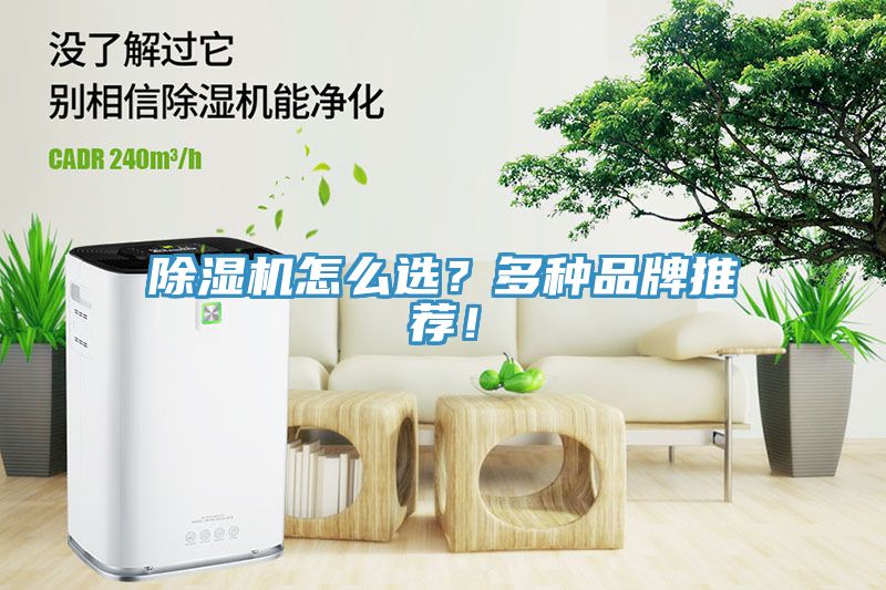除濕機怎么選？多種品牌推薦！