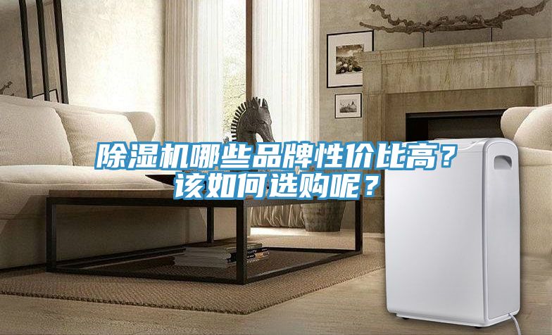 除濕機(jī)哪些品牌性價比高？該如何選購呢？