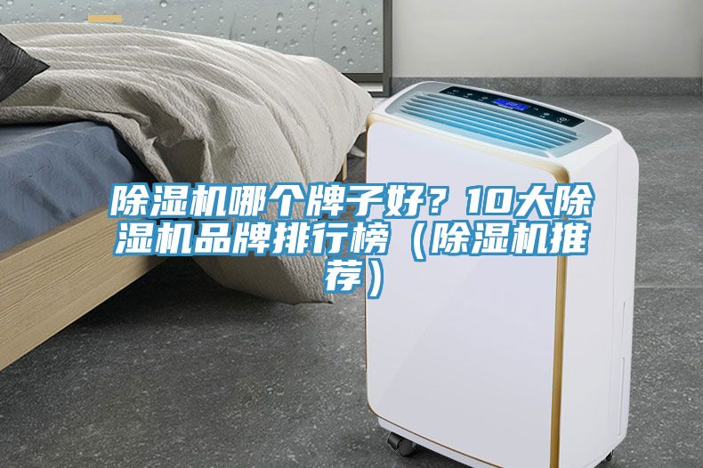 除濕機哪個牌子好？10大除濕機品牌排行榜（除濕機推薦）