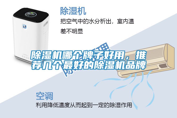 除濕機(jī)哪個(gè)牌子好用，推薦幾個(gè)最好的除濕機(jī)品牌