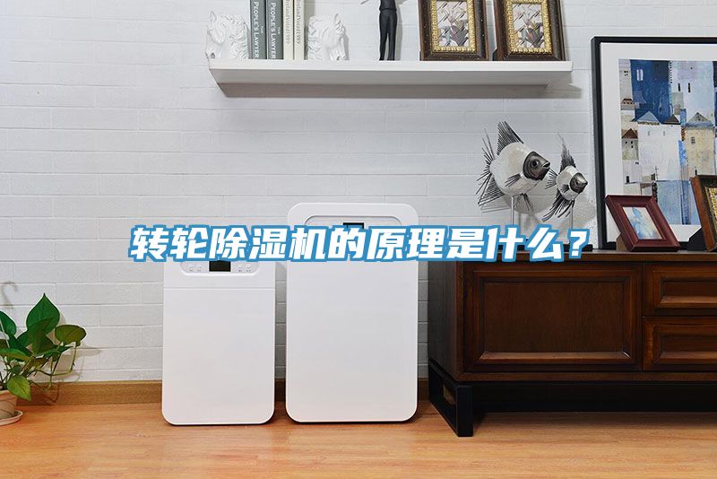 轉(zhuǎn)輪除濕機(jī)的原理是什么？
