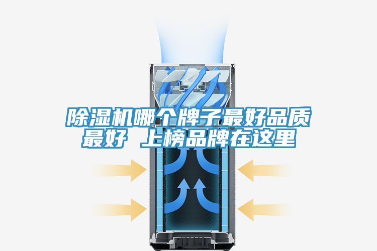 除濕機(jī)哪個牌子最好品質(zhì)最好 上榜品牌在這里