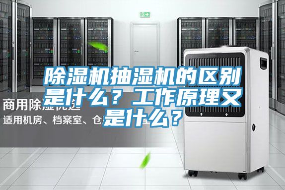 除濕機(jī)抽濕機(jī)的區(qū)別是什么？工作原理又是什么？