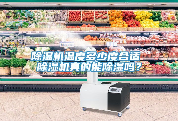 除濕機溫度多少度合適 除濕機真的能除濕嗎？