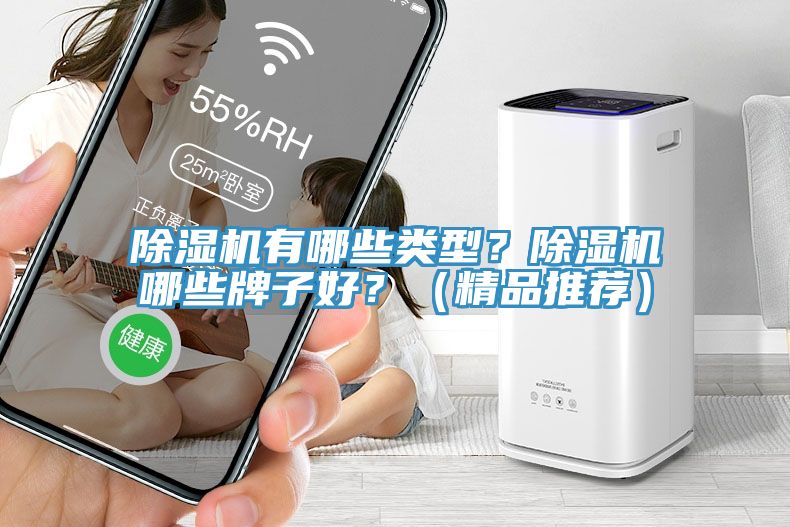除濕機有哪些類型？除濕機哪些牌子好？（精品推薦）
