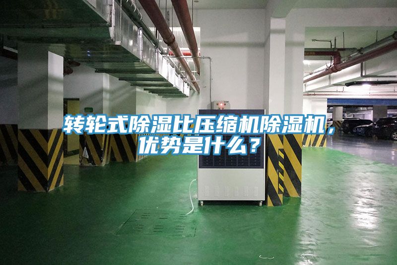 轉(zhuǎn)輪式除濕比壓縮機(jī)除濕機(jī)，優(yōu)勢(shì)是什么？