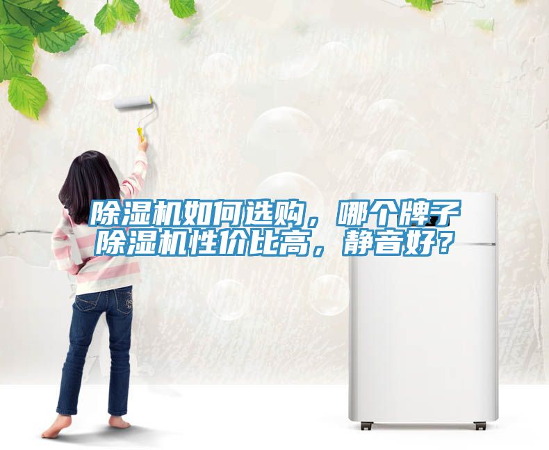 除濕機(jī)如何選購(gòu)，哪個(gè)牌子除濕機(jī)性?xún)r(jià)比高，靜音好？
